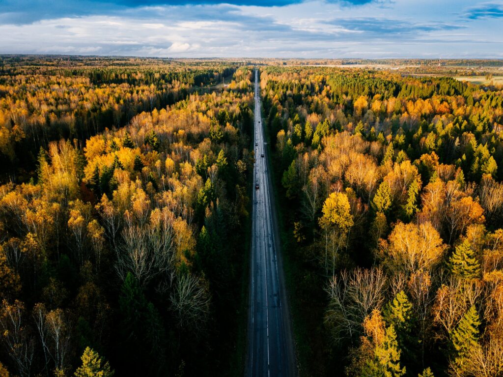 Aerial view of road in autumn forest. Fall landscape with road, red and yellow trees.