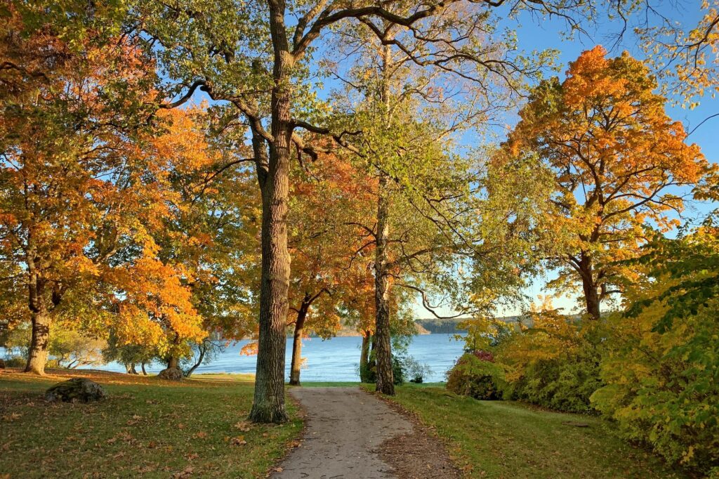 Autumn in Sweden