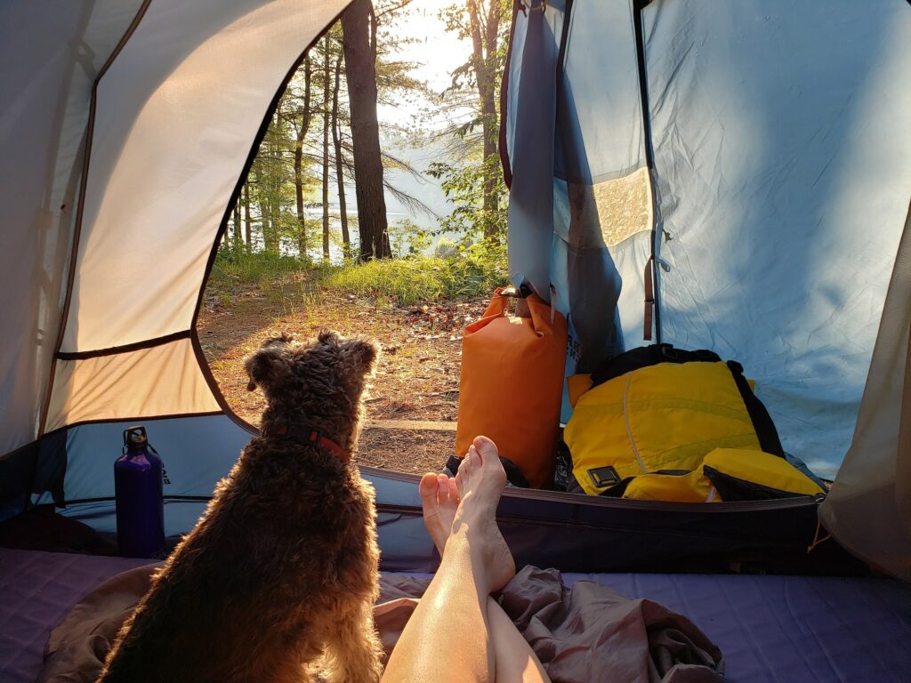 Sunrise view from inside the camping tent